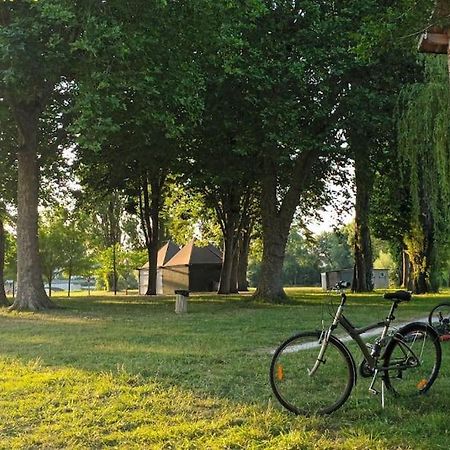 *Gite Aux Grappes Du Pressoir* A 2 Km De Beauval Seigy Extérieur photo