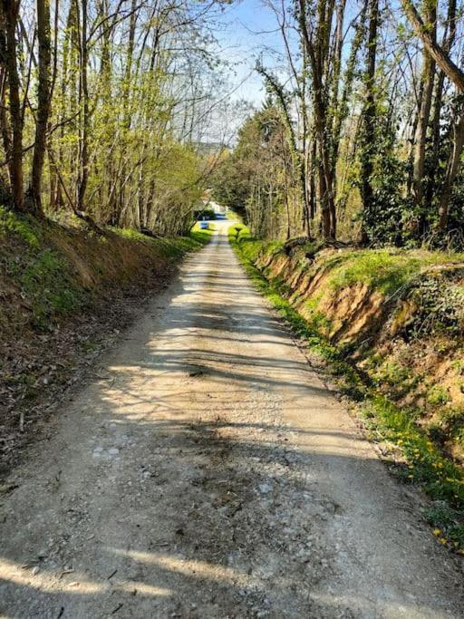 *Gite Aux Grappes Du Pressoir* A 2 Km De Beauval Seigy Extérieur photo