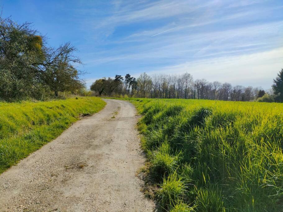 *Gite Aux Grappes Du Pressoir* A 2 Km De Beauval Seigy Extérieur photo