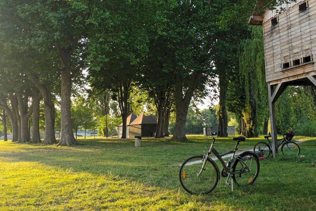 *Gite Aux Grappes Du Pressoir* A 2 Km De Beauval Seigy Extérieur photo